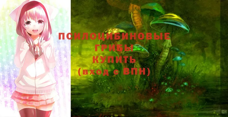 Псилоцибиновые грибы Cubensis  Энем 